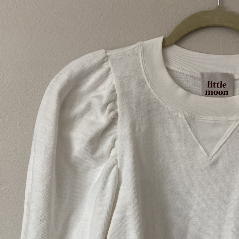 Aritzia sweatshirt